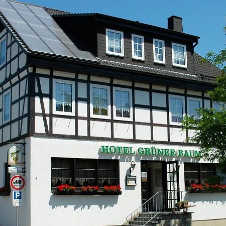 Hotel Gruener Baum Stollberg Exterior foto